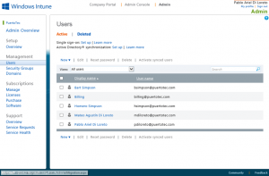 Ilustración 2 - Portal de Administración de Windows Intune. Management de Usuarios.