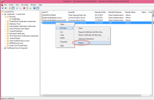 Ilustración 11 – Exportación del Certificado Autofirmado generado con las herramientas de Visual Studio 2013.