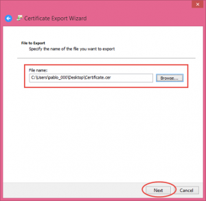 Ilustración 15 – Asistente de Exportación del Certificado Autofirmado generado con las herramientas de Visual Studio 2013.
